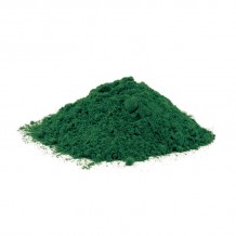 Chlorella